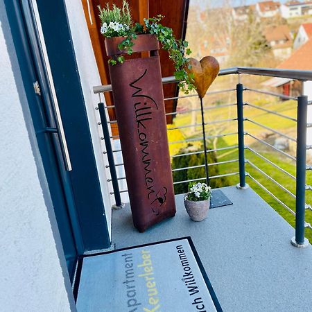 Apartment Keuerleber Holzmaden المظهر الخارجي الصورة